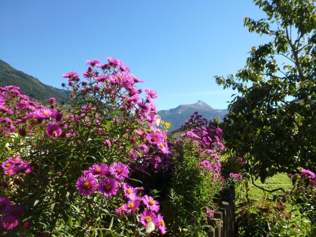 Villa Stubnerbauer Bad Hofgastein Esterno foto