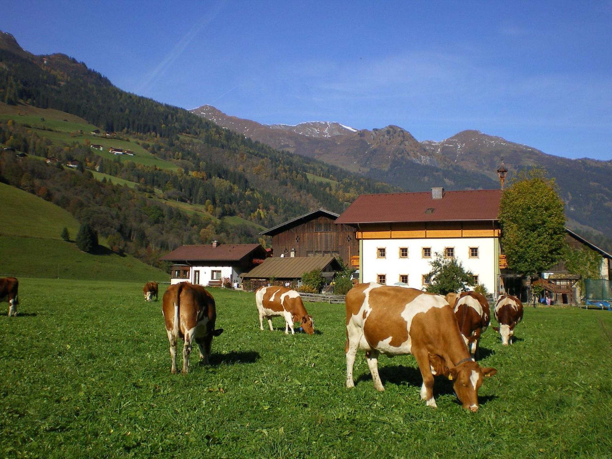 Villa Stubnerbauer Bad Hofgastein Esterno foto