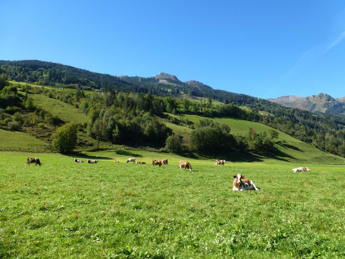Villa Stubnerbauer Bad Hofgastein Esterno foto